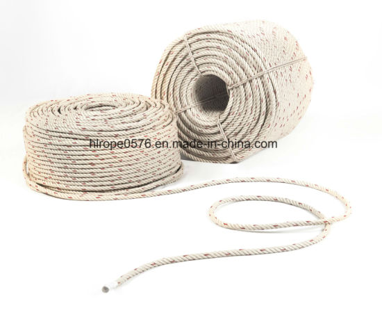 Fabricante de cuerdas de alta calidad 3/4 Strand PP exportador en China